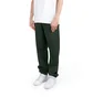 Stüssy Stock Logo Pant (Grün)