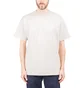 Carhartt WIP Sedona T-Shirt (Grau)