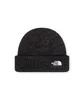 The North Face Salty Lined Beanie (Schwarz)