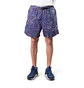 Nike ACG Shorts (Blau / Grün)