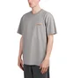 Carhartt WIP S/S American Script T-Shirt (Grau)