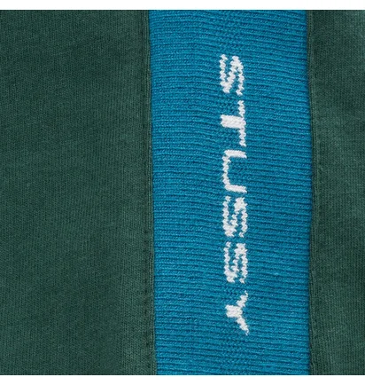 Stüssy WMNS Rib Logo Short (Grün / Blau)