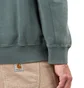 Carhartt WIP Hooded Ashfield Sweat (Grün)