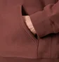 Carhartt WIP American Script Hoodie (Rot)