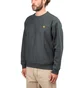 Carhartt WIP American Script Sweatshirt (Dunkelgrau)