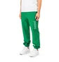 Pleasures Logic Reverse Terry Sweatpants (Grün)