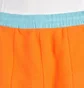 The North Face Denali Pant (Orange / Blau)