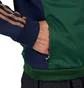 adidas x Brain Dead Track Top (Grün / Blau)