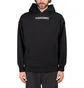 Pleasures Protection Premium Hoody (Schwarz)